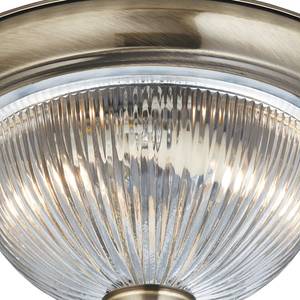 Plafondlamp Flush I transparant glas / staal - 2 lichtbronnen