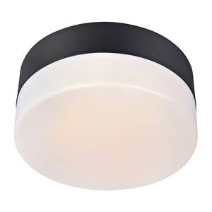 Plafonnier salle de bain Deman Plexiglas / Acier inoxydable - 1 ampoule