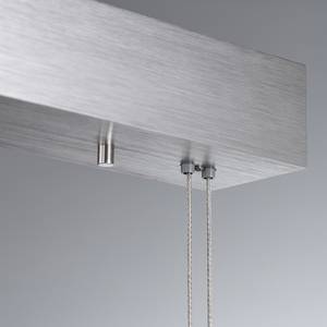 LED-hanglamp Fraddon acryl/nikkel - 2 lichtbronnen