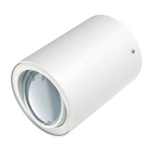 LED-plafondlamp Tube ijzer - 1 lichtbron