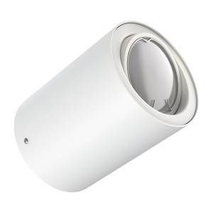 LED-plafondlamp Tube ijzer - 1 lichtbron