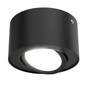 LED-plafondlamp Tube ijzer - 1 lichtbron