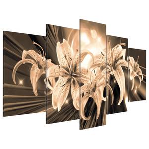 Acrylglasbild Bouquet of Memories Acrylglas - Braun / Creme - 100 x 50 cm