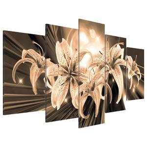 Acrylglasbild Bouquet of Memories Acrylglas - Braun / Creme - 200 x 100 cm