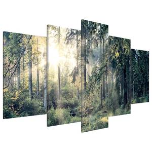 Acrylglasbild Fairytale Landscape Acrylglas - Grün - 200 x 100 cm