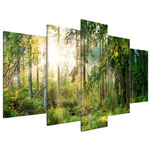 Tableau déco plexiglas Green Sanctuary Plexiglas - Vert - 200 x 100 cm