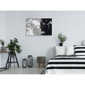 Peinture par numéro - Black & White Lin - Multicolore - 60 x 40 cm