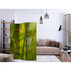 Kamerscherm Bamboo Nature Zen vlies - groen - 3-delige set