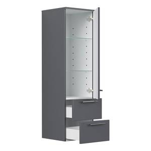 Colonne de salle de bain Homeline II Anthracite