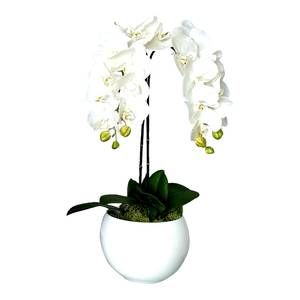 Composition florale Orchidée Céramique