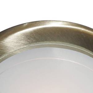 Plafondlamp Flush II gesatineerd glas/staal - 1 lichtbron