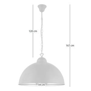 Suspension Irving Fer - 1 ampoule