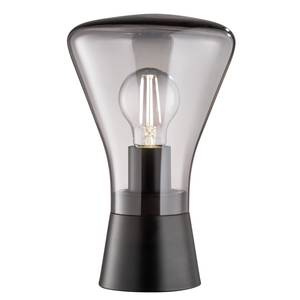 Lampe Trion Verre fumé / Fer - 1 ampoule