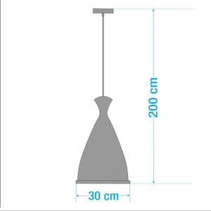 Suspension Ocala Lin / Fer - 1 ampoule