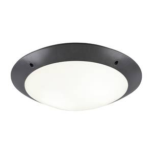 Plafondlamp Camaro polyetheen - Grijs - Aantal lichtbronnen: 2