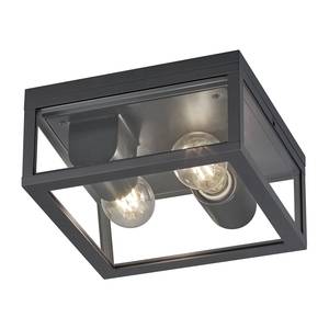 Plafondlamp Garonne transparant glas/aluminium - 2 lichtbronnen - Grijs