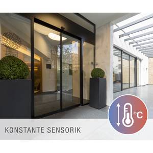 LED-Deckenleuchte Alegre II Kunststoff / Aluminium - 1-flammig