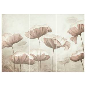 Afbeeldingen Klaprozen (3 stuk) roze