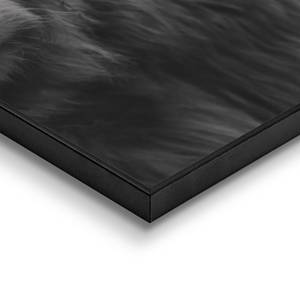 Tableaux déco Highlander (lot de 2) Noir