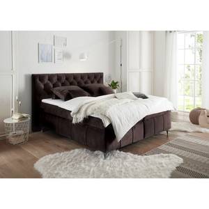 Boxspringbett Palm Hill Aubergine