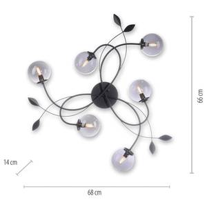 LED-Deckenleuchte Widow IV Klarglas / Eisen - 6-flammig