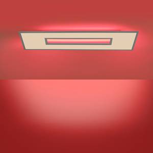 LED-plafondlamp Recess I plexiglas/ijzer - 2 lichtbronnen