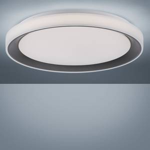 LED-Deckenleuchte Ls-Disc I Polyethylen / Eisen - 1-flammig