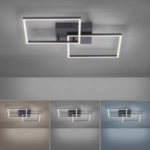 LED-Deckenleuchte Iven II Polycarbonat / Aluminium - 2-flammig