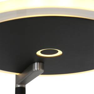 LED-Stehleuchte Turound II Klarglas / Eisen - 2-flammig