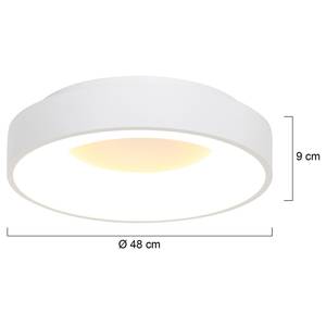 LED-Deckenleuchte Surgy III Acrylglas / Eisen - 1-flammig