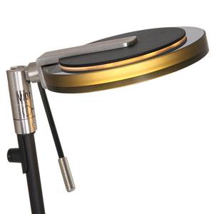 LED-Stehleuchte Turound VIII Acrylglas / Eisen - 1-flammig