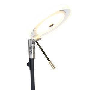 LED-Stehleuchte Turound IV Klarglas / Eisen - 1-flammig