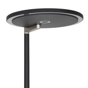 LED-Stehleuchte Turound VI Acrylglas / Eisen - 2-flammig