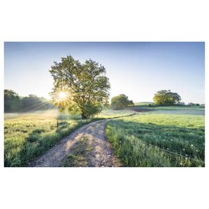 Fotobehang A New Day in Paradise vlies - meerdere kleuren