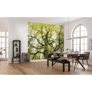 Fotobehang De Droomboom vlies - groen - Breedte: 450 cm
