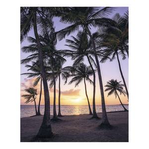 Papier peint intissé Palmtrees on Beach Intissé - Multicolore