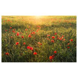 Papier peint intissé Poppy World Intissé - Vert / Rouge