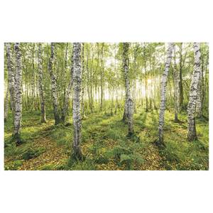 Fotobehang Birch Trees vlies - meerdere kleuren