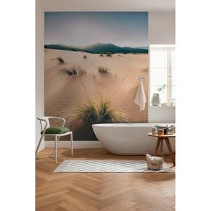 Fotobehang Vivid Dunes vlies - meerdere kleuren - Breedte: 450 cm