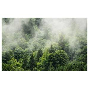 Fotobehang Forest Land I vlies - groen/wit