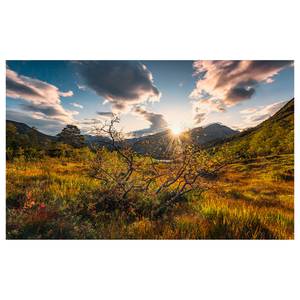 Fototapete Norwegische Herbstwelten Vlies - Bunt