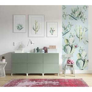 Fotobehang Cactus Blue vlies - groen/blauw - Breedte: 100 cm