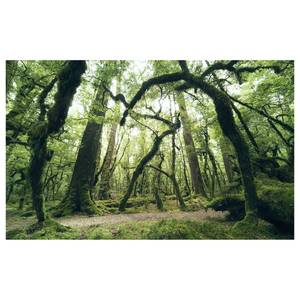 Fotobehang Ancient Green vlies - groen