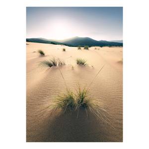 Fotobehang Vivid Dunes vlies - bruin - Breedte: 200 cm