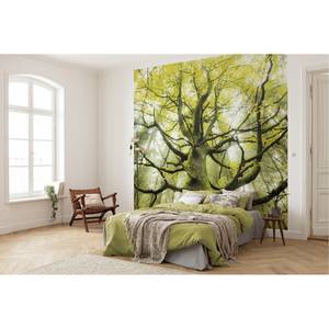 Fotobehang De Droomboom vlies - groen - Breedte: 300 cm