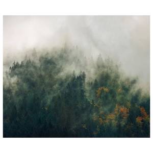 Fotobehang Tales of the Carpathians I vlies - groen - Breedte: 300 cm