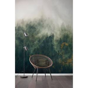 Fotobehang Tales of the Carpathians I vlies - groen - Breedte: 300 cm