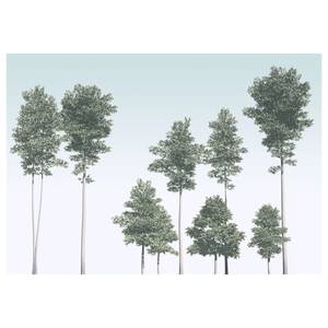 Fotobehang Pines vlies - groen/blauw/wit