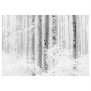 Fotobehang Winter Wood vlies - wit/zwart