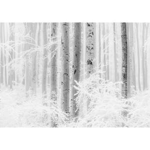 Papier peint intissé Winter Wood Intissé - Blanc / Noir
